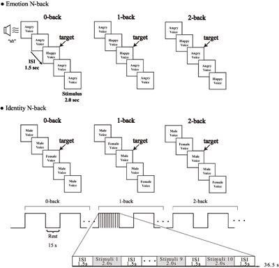 Cerebral response to emotional working memory based on vocal cues: an fNIRS study
